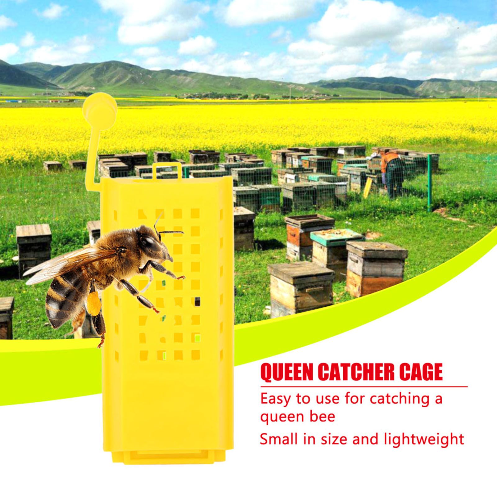 10Pcs Plastic Queen Bee Cages Transporting Catcher Beekeeper Beekeeping Tool — image 2