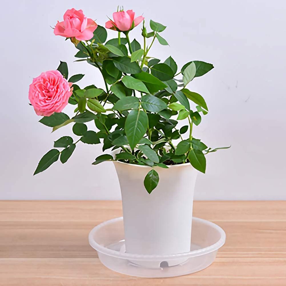 10 pcs Clear Plant Saucers Plastic Flower Pot Drip Trays for Indoors Outdoors — image 4