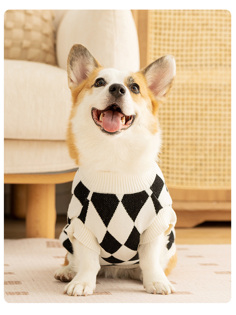 Classic Argyle Dog Sweater - Black & White Knit for Corgis & Medium Breeds (Size: S) โ image 3