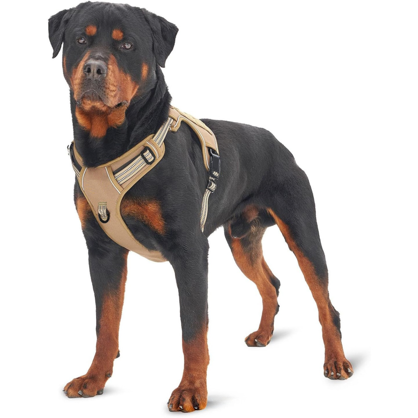 Camouflage Professional Adjustable Tactical Dog Mesh Harness - Reflective No-Pull Pet Vest with Control Handle (S Size for Weight 18-35 lbs) โ image 2