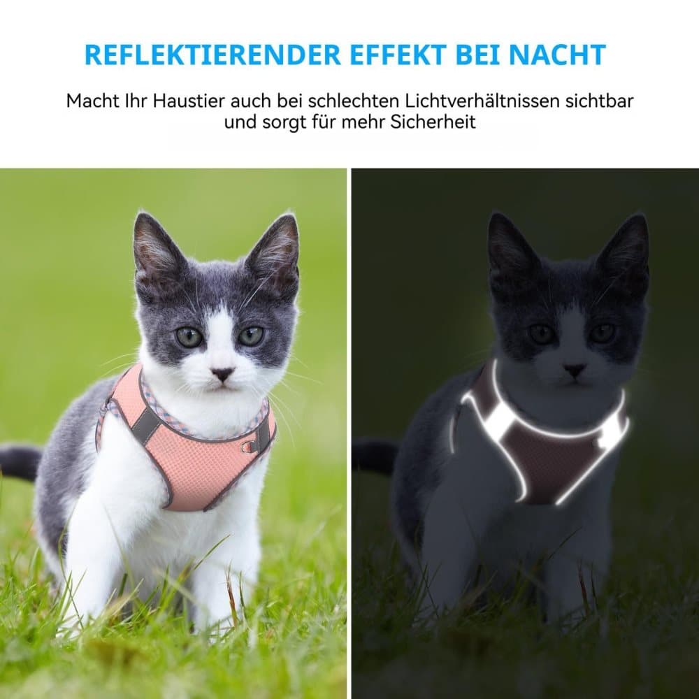 Adjustable Dog and Cat Harness with Leash Reflective Soft Secure Fit, XS, Light Blue — image 3