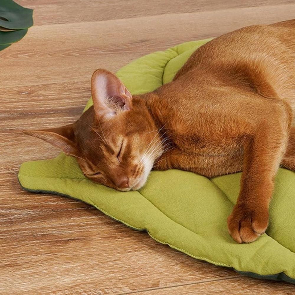 Double-Sided Available Pet Mattress Pad Leaf Shape Puppy Cat Bed Mat Style 1 — image 5