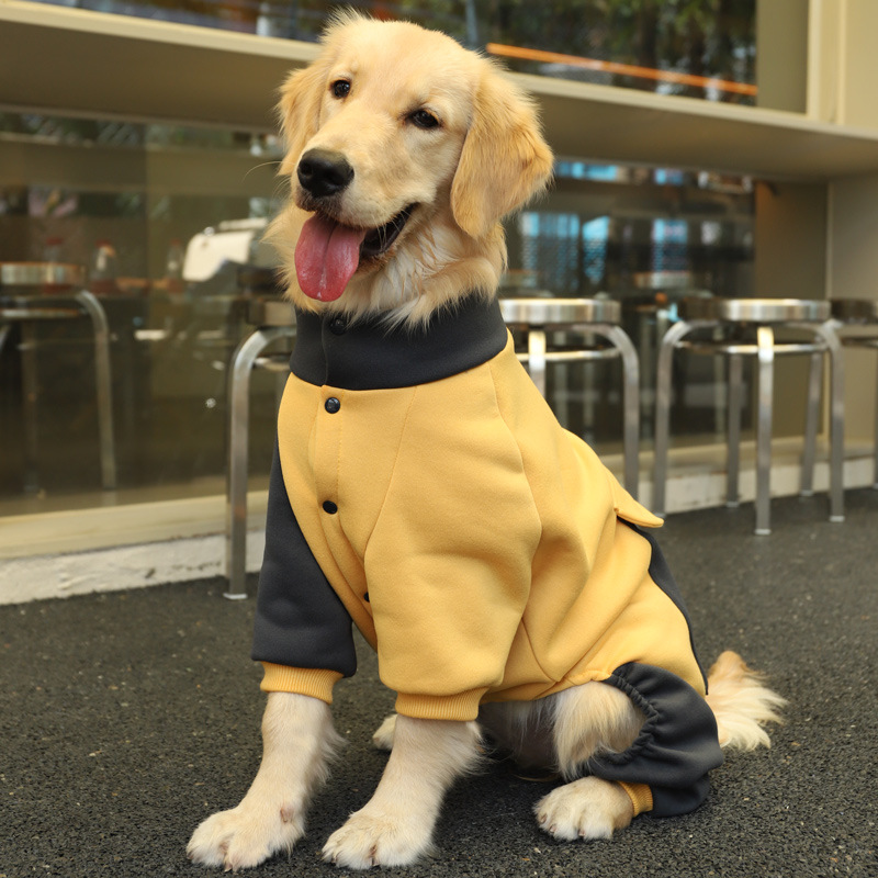 Turmeric Sporty Dog Onesie with Back Zipper & Pockets - For Medium/Large Dogs (Size: 6XL) โ image 2