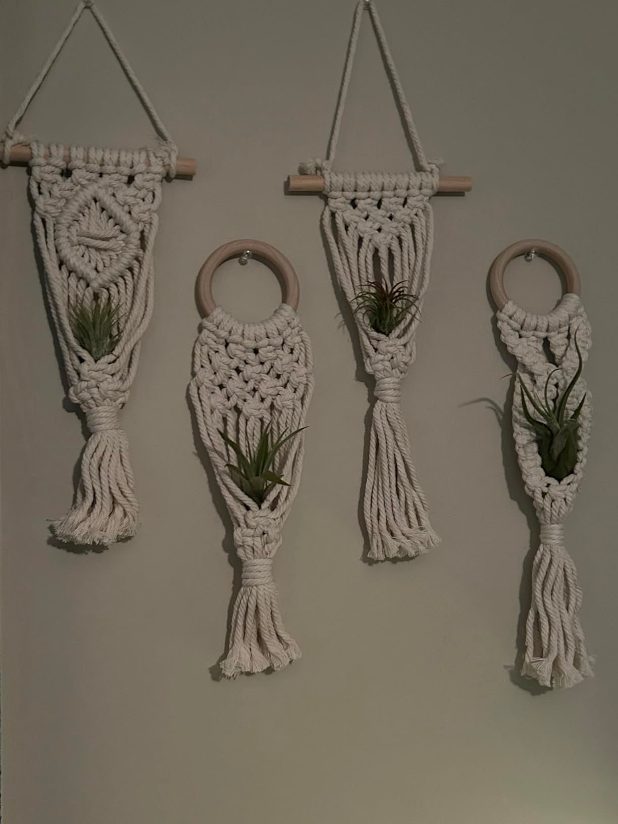 4 Pack Air Plants Holders Air Fern Macrame Plant Hanger Indoor Hanging Planter Basket for Tillandsias Display Air Plant Stand โ image 2