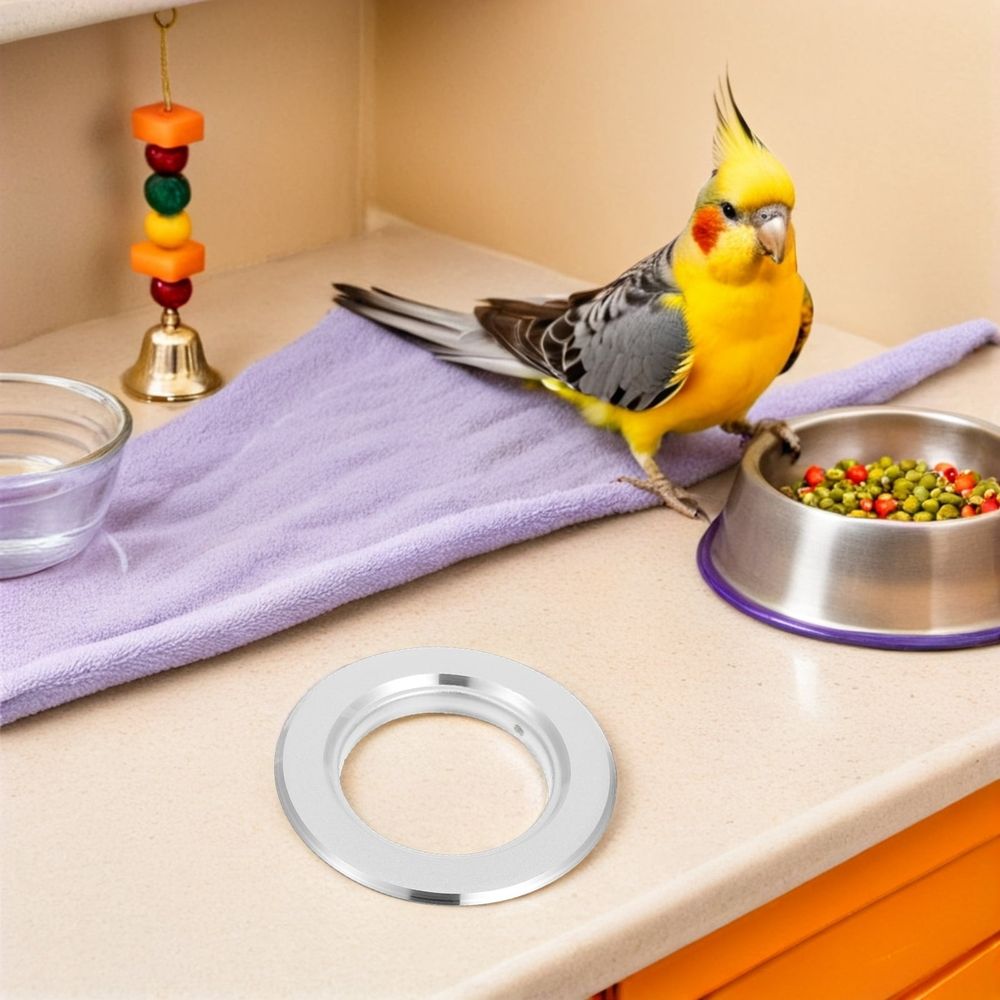 Stainless Steel Parrot Nest Protector Ring Plated Silver for Watch 10Pcs