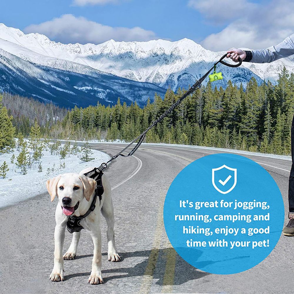 Heavy Duty Dog Leashes for Large Dogs, Car Seatbelt and Metal Carabiner Clip, Strong No Pull Dog Leash for Medium — image 3