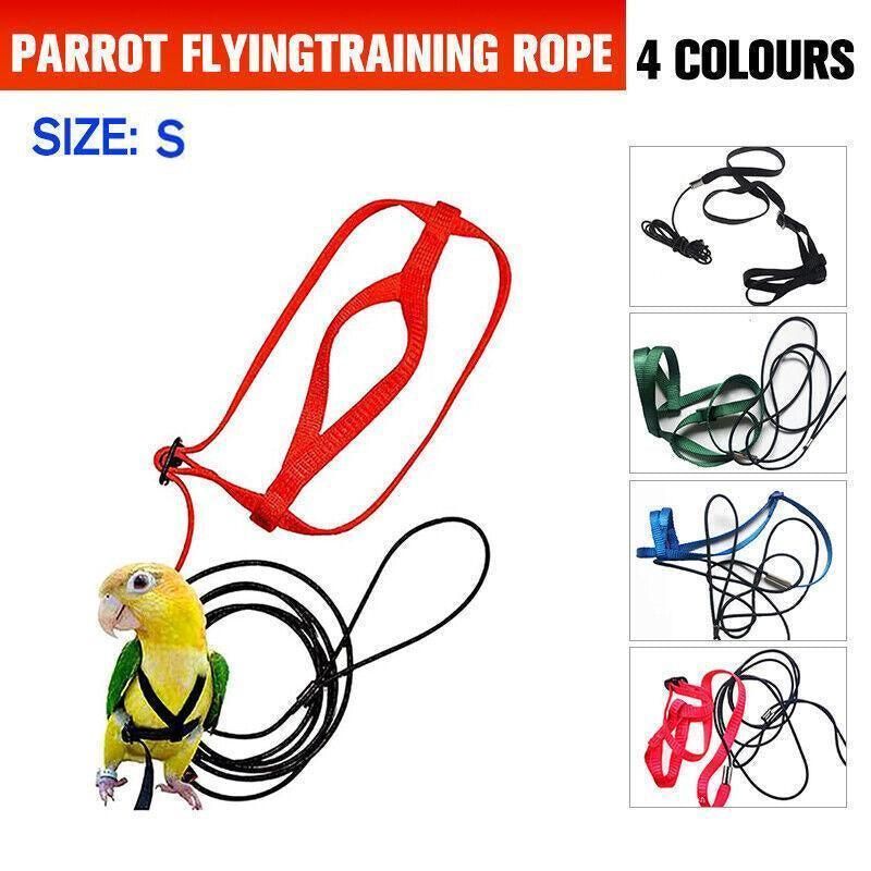 S Pet Parrot Bird Harness Lead Leash Flying Training Rope Cockatiel Outdoor - Green โ image 2
