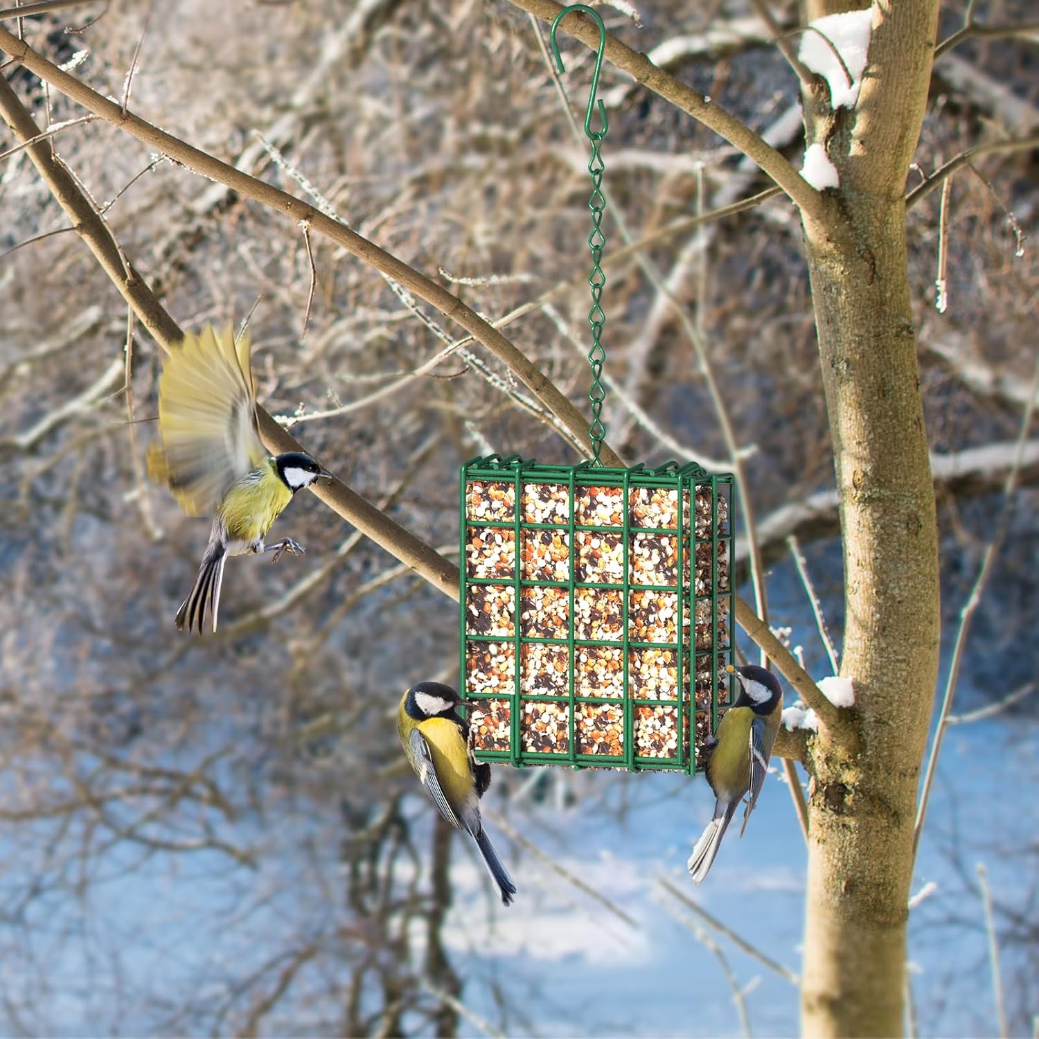 Hanging Bird Feeder, Suet Feeder Hanging Bird Feeder Hanging for Garden Yard Outside Hanging Bird Feeder Tray — image 6