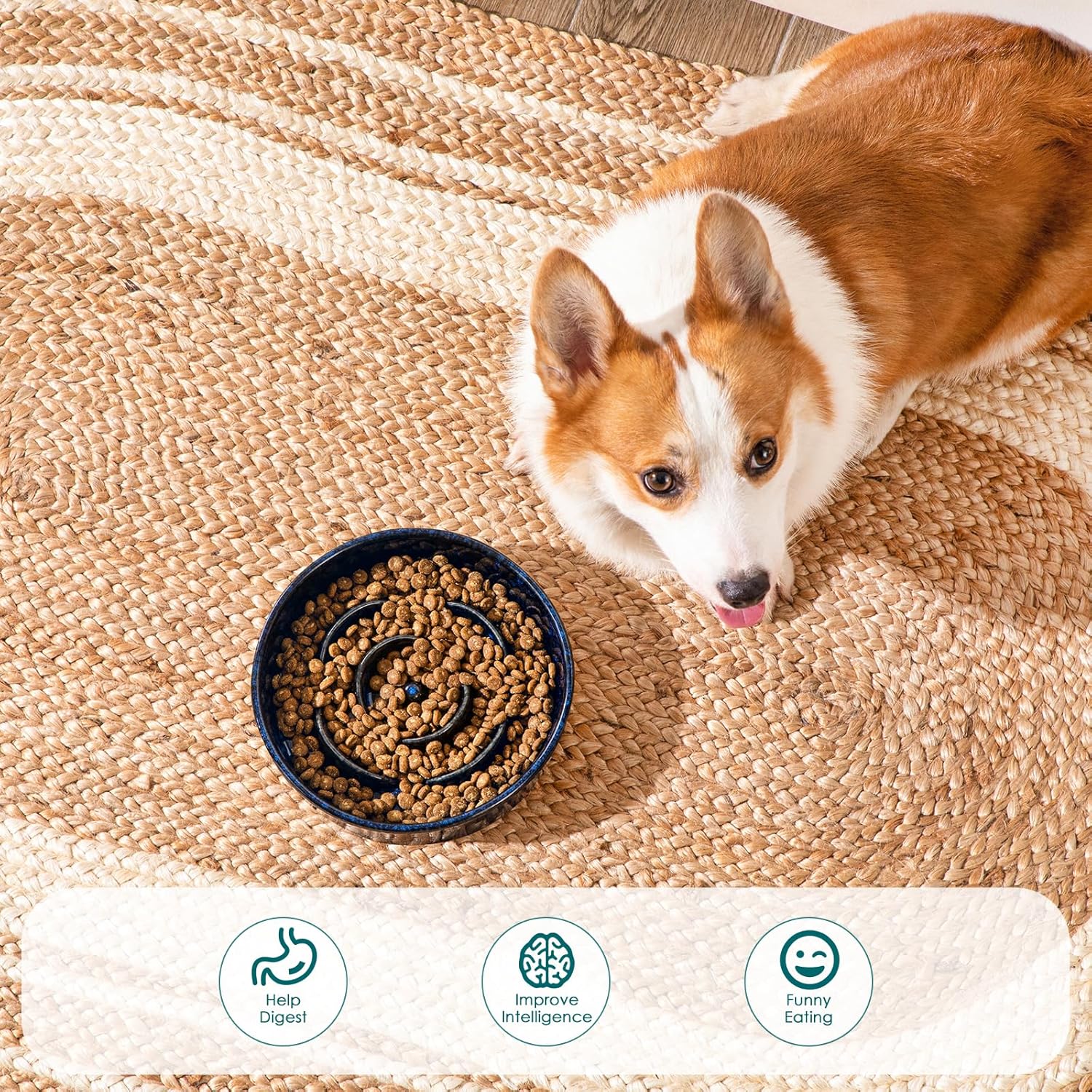 Slow Feeder Dog Bowl, 1.5 Cups Ceramic Slow Feeder for Medium Breed, Puzzle Maze Dog Food Bowl for Fast Eater, Blue — image 5