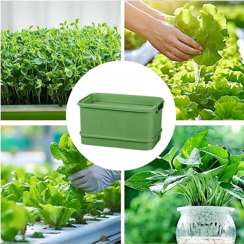 Seedling Tray Sprout Tray Soilless Hydroponic Planting Pot for Indoor Gardening - Green โ image 5