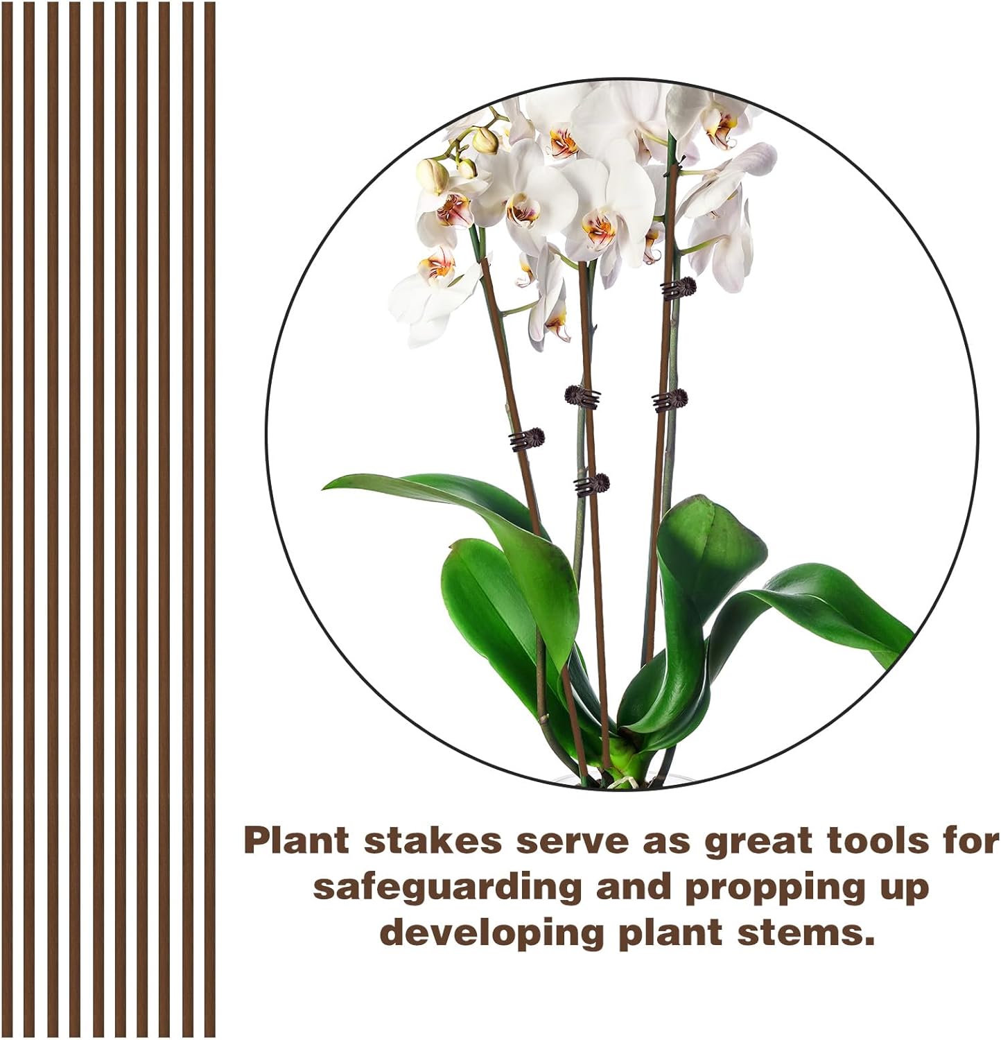 10Pcs Plant Support Stakes with 15Pcs Plant Clips, 15.75inch Tall Bendable Single Stem Sticks Orchid Clips Brown Helps Growth for Indoor Outdoor Flowers Rose — image 6