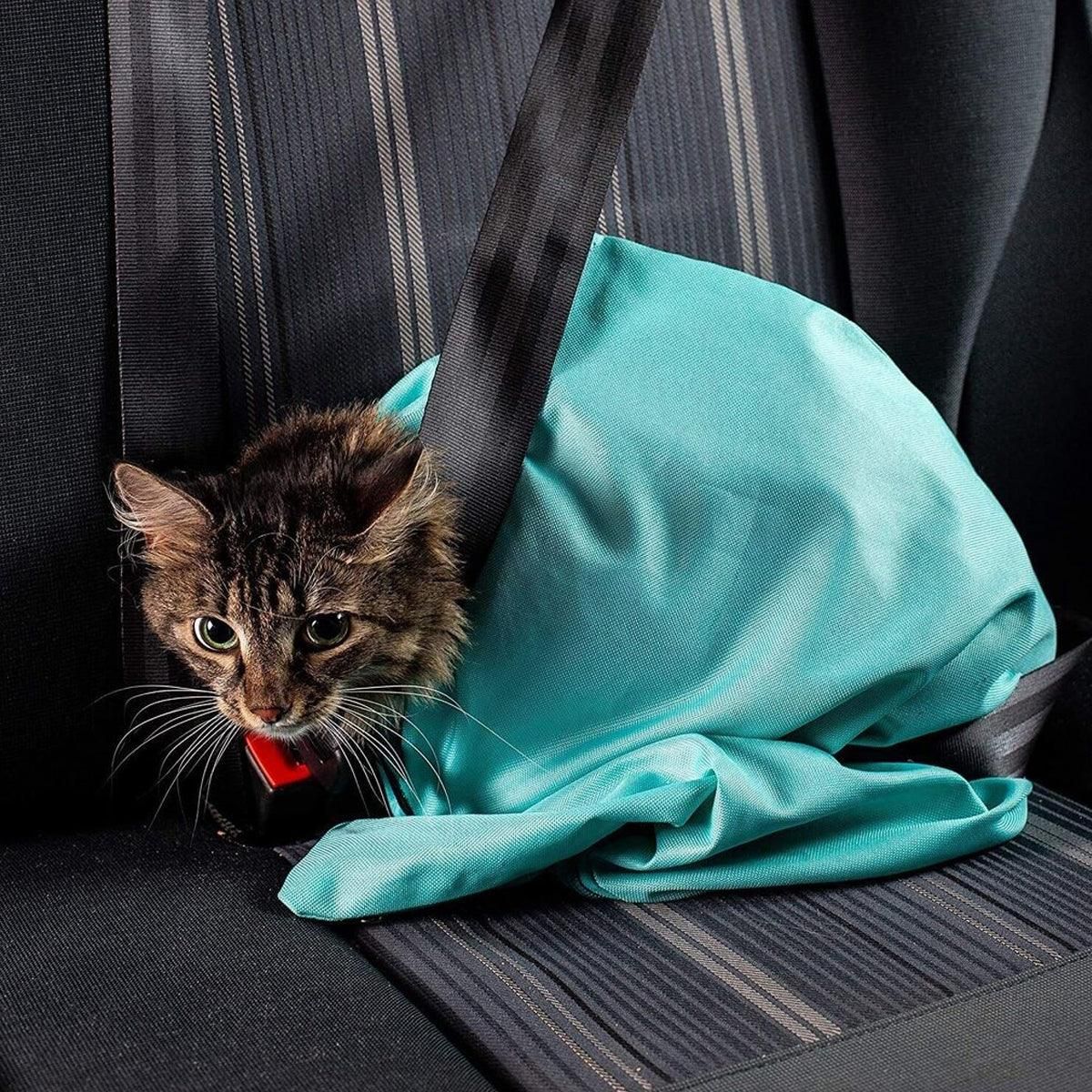 Portable Pet Shoulder Tote Bag for Cats and Small Dogs Outdoor Travel Carrier - Blue — image 5