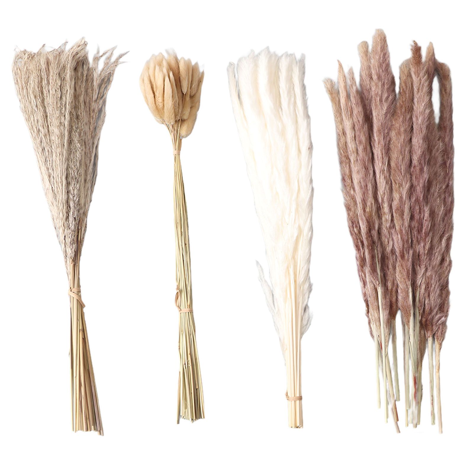 Natural Dried Pampas Grass Fluffy 15PCS White Pampas 15PCS Brown Pampas 50PCS Bunny Tail Grass 20PCS Reed Grass for Home Wedding Decor โ image 3