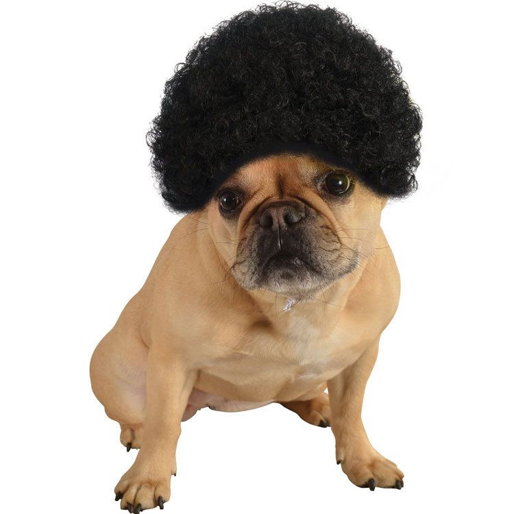 FUN OF PETS Pet Wig Short Curly Hair Black — image 2