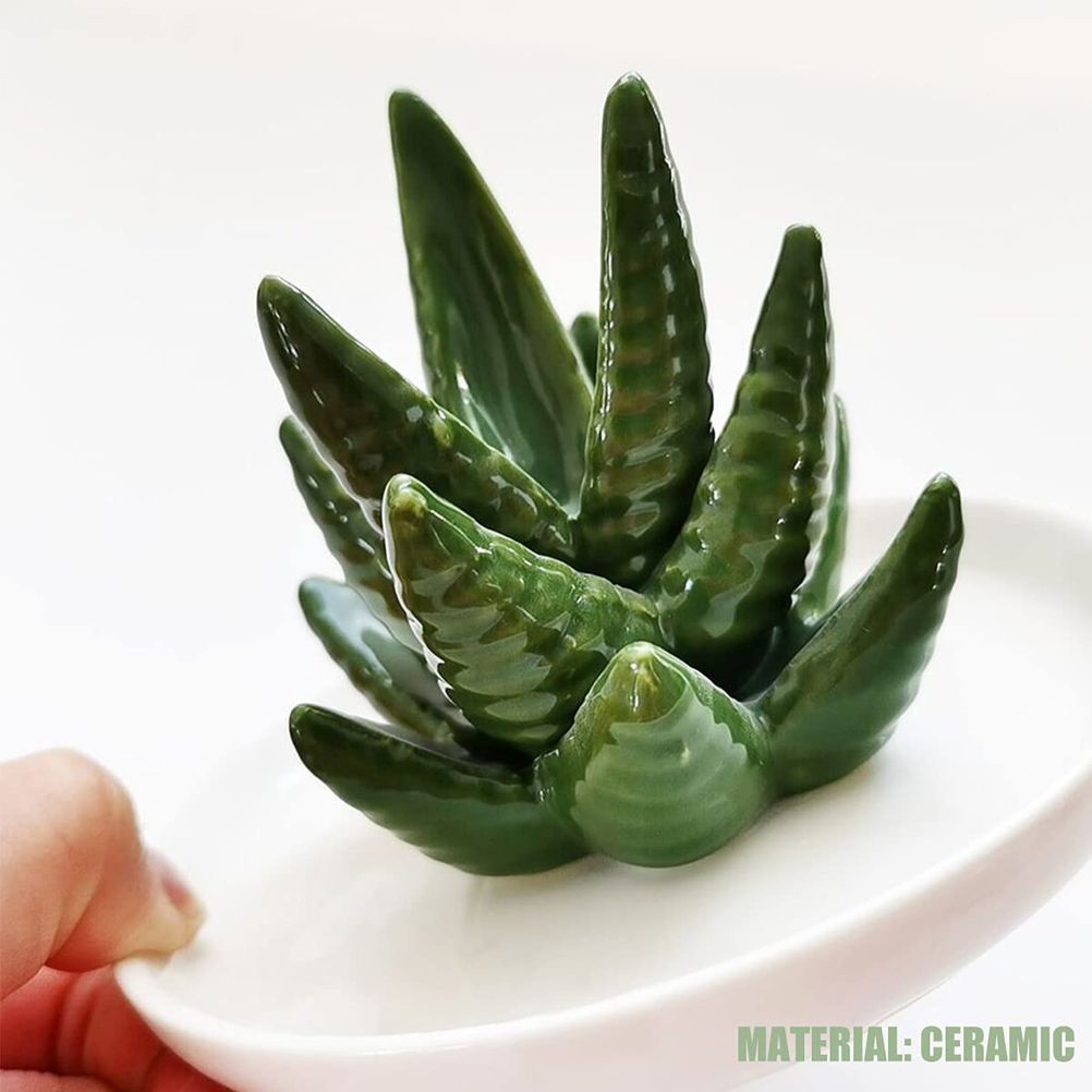 Ceramic Ring Holder Aloe Ring Dish Jewelry Holder Rings Bracelets Earrings Green Succulent Trinket Tray Gift for Women Girls — image 3