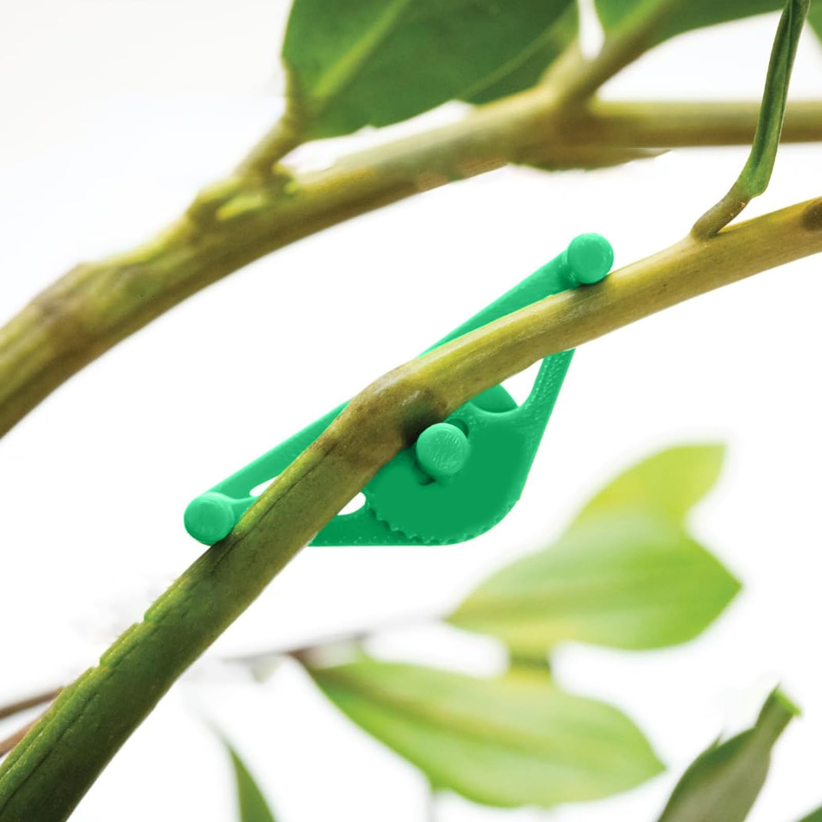 20Pcs Adjustable Plant Support Clips, Manage Bar Spacing Low Stress Training Reusable Plant Clips for Better Growth Yield (Green) — image 5