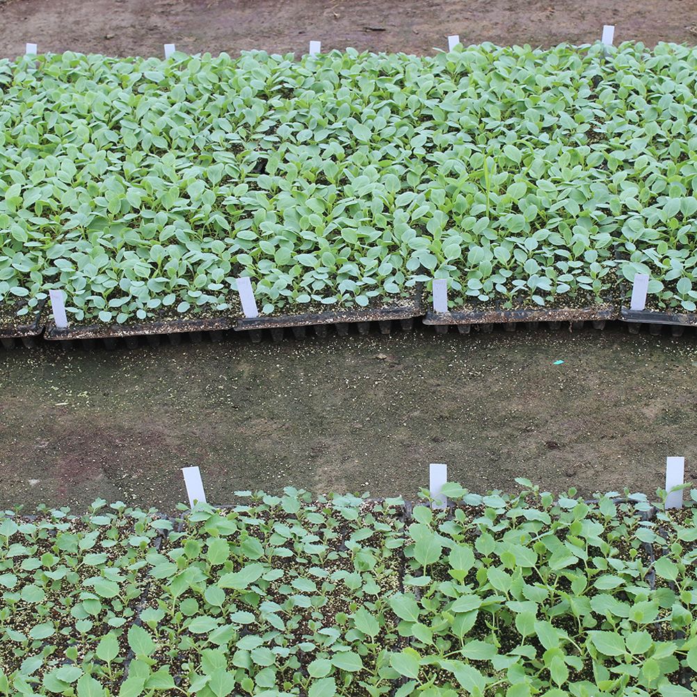 100PCS Plastic Plants Labels Garden Tags Stakes Reusable Plants Markers — image 3