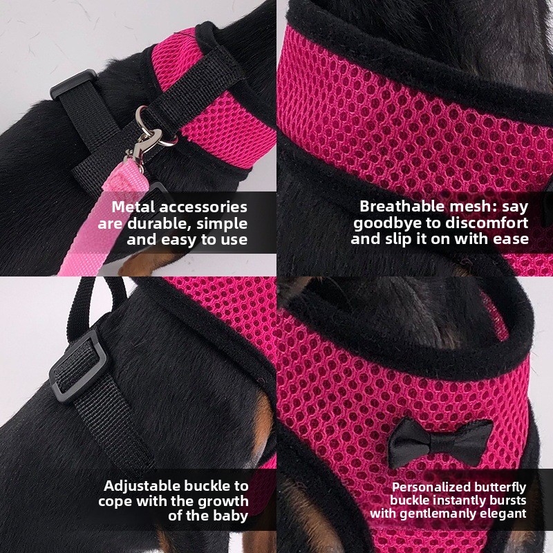 2-Pcs Black Adjustable Pet Harness with Leash – Breathable Mesh Design for Small Dogs, Cats, Chickens, Ducks & More | Anti-Escape, 360° Support — image 5