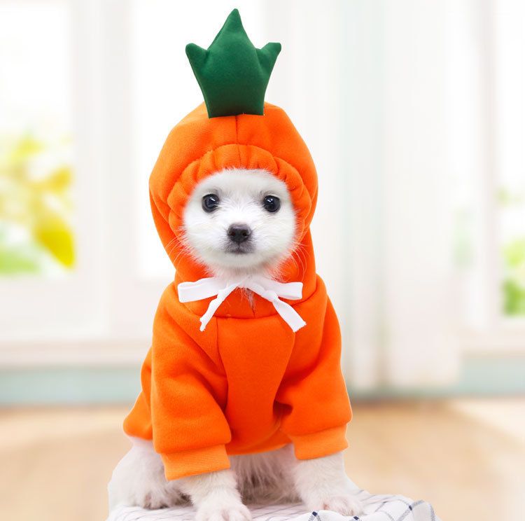 Warm Dog Winter Clothes Cute Fruit Dog Coat Hoodies Fleece Pet Dogs Costume Jacket for Bulldog (Orange M) โ image 5