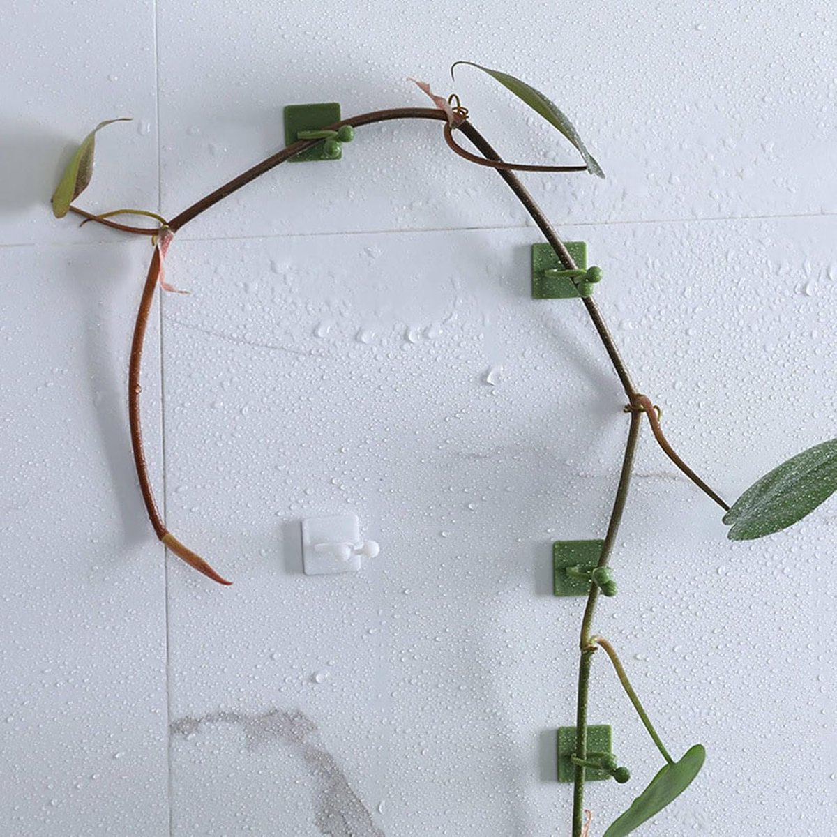 Plant Clips - Climbing Plant Guide - Tie Up - Plant Support - Garden Clips - Cable Organizer - Wall-Mounted Plant Clips - For Indoor Use - Wall — image 4