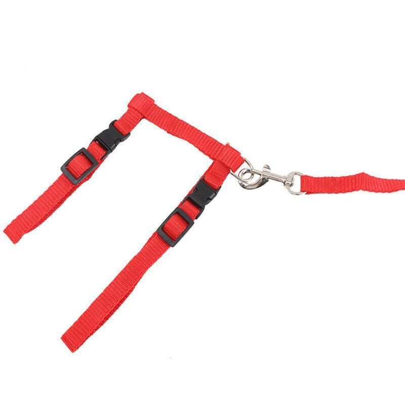 Nylon Cat Harness and Lead Set Adjustable Strap for Outdoor Walks - Black — image 4