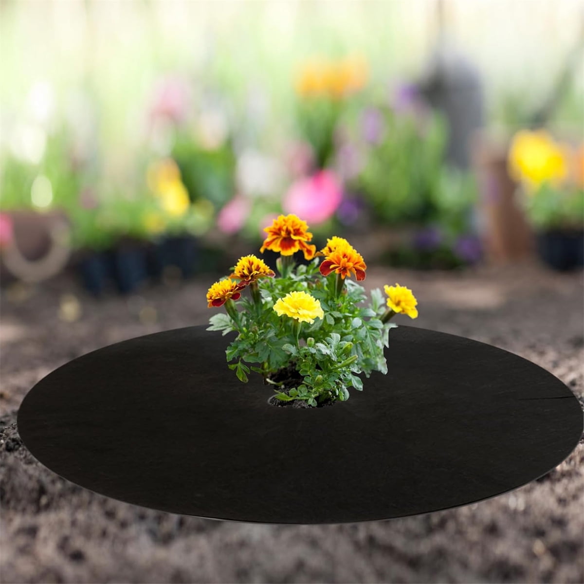 Non Woven Tree Ring, 24.4 inches Round Tree Base Weed Barrier Fabric Cover, Degradable and Reusable Tree Mulch Ring for Landscaping Weed Control, Root — image 6