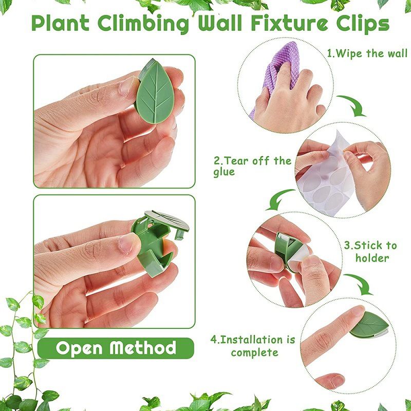 10pcs Plant Wall Fixture Clips for Climbing Plants Invisible Vine Traction Support Holder with 10Pieces Adhesive โ image 2