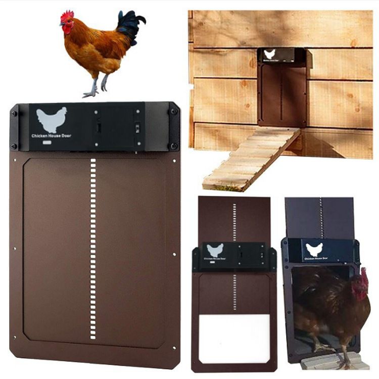 Automatic Chicken Coop Door, Programmable with App, Battery Operated, Evening and Morning Delay, Aluminum Door — image 3