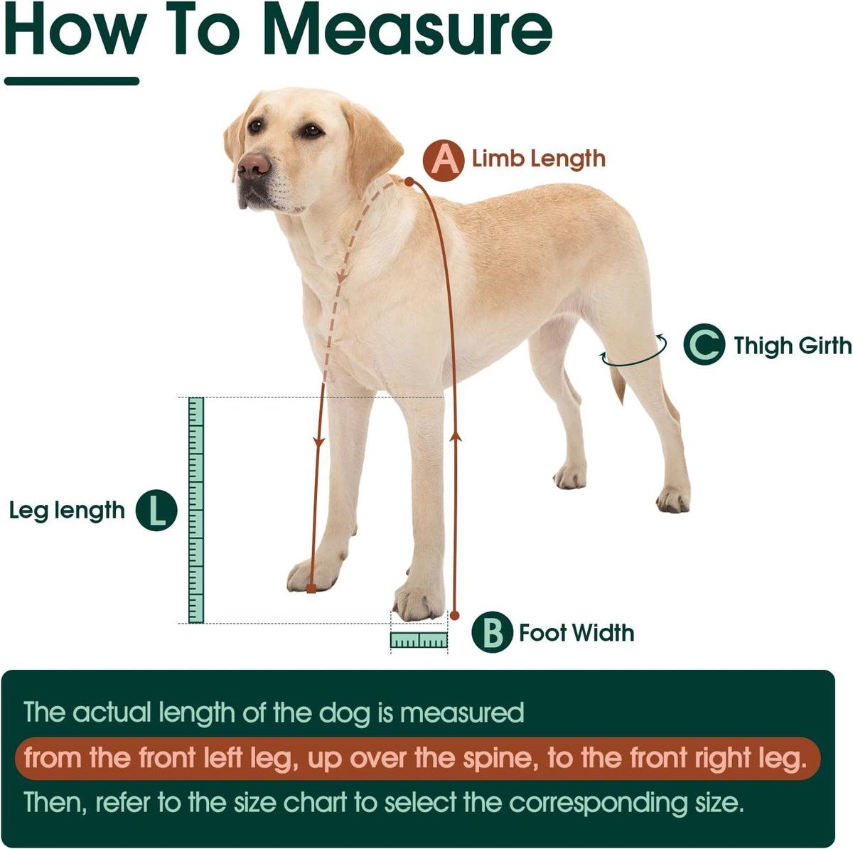 Waterproof Dog Boots With Suspenders, Adjustable Non Slip Paw Protectors For Outdoor Walks, Small To Medium Dogs, Orange, Size 2XL — image 2