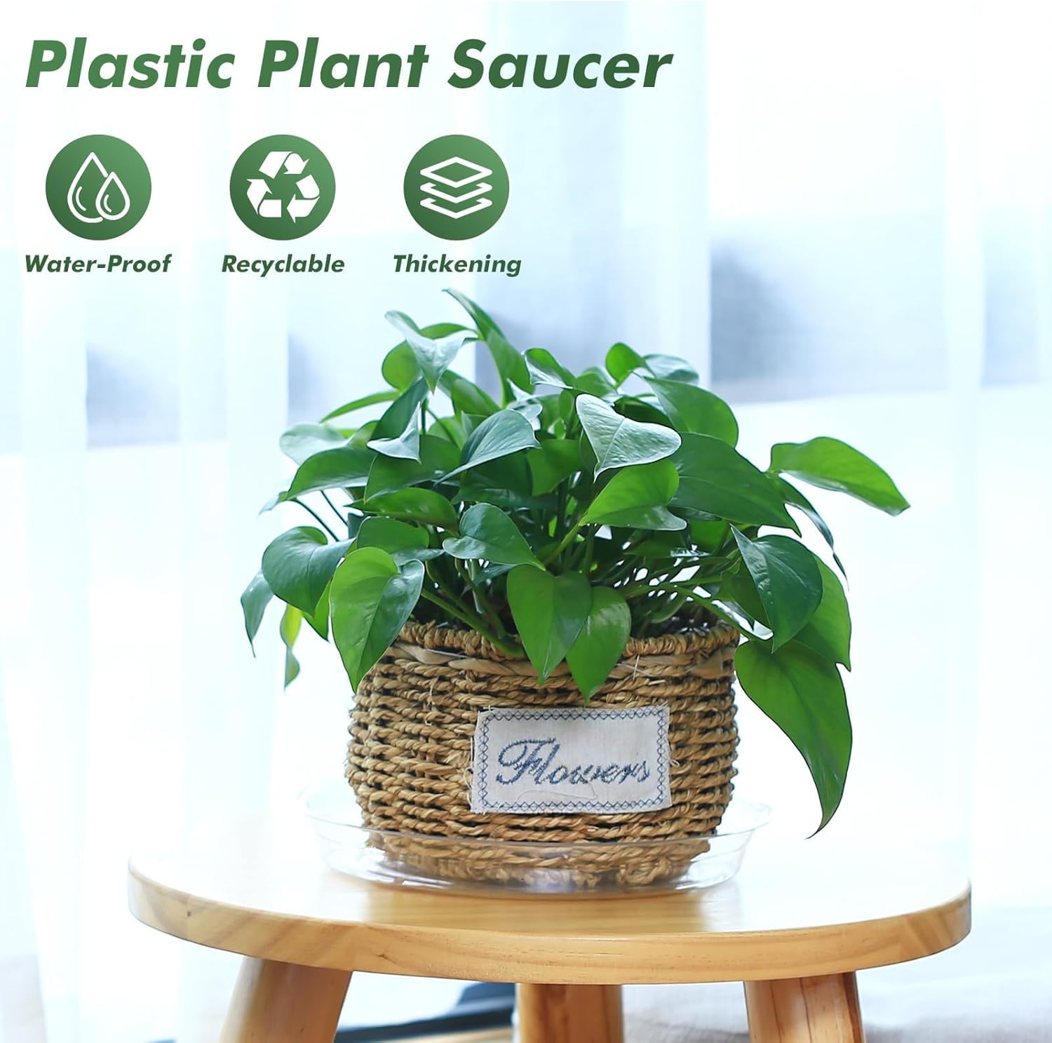 20 Pack 6 Inch Plant Saucers Clear Plastic Plant Saucer Drip Trays Small Plant Plate Dish for Indoor Flower Pots and Planters, Bulk — image 4