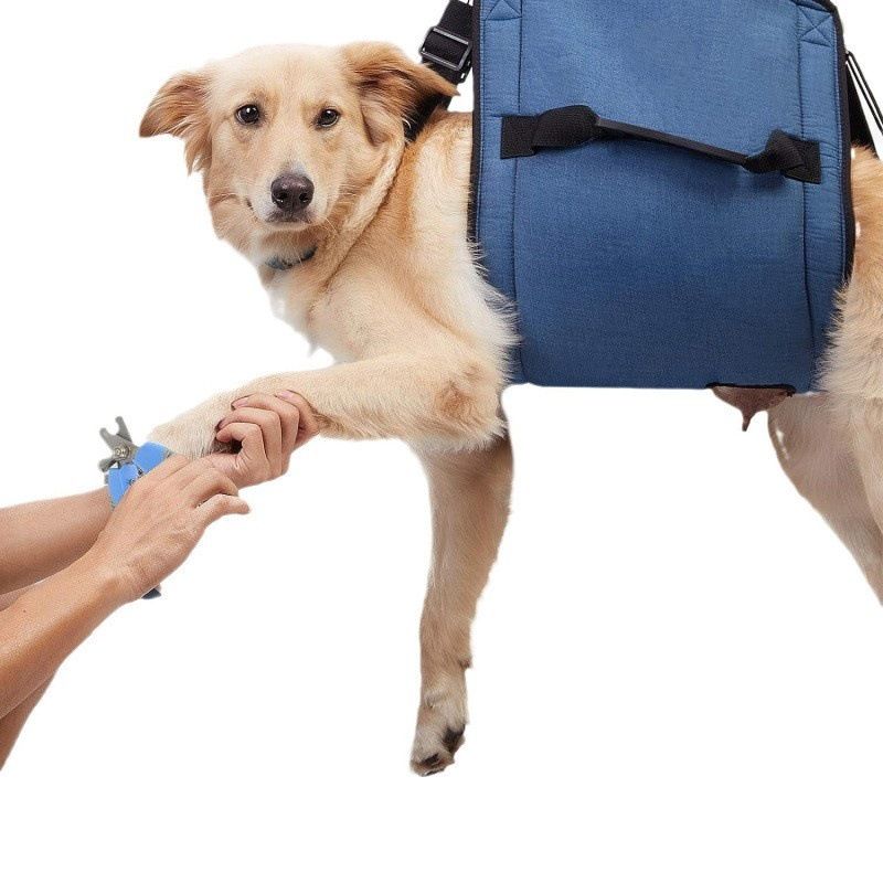 Dog Carry Sling, Emergency Backpack Pet Legs Support & Rehabilitation Dog Lift Harness for Nail Trimming, Dog Carrier for Senior Dogs Joint Injuries — image 2