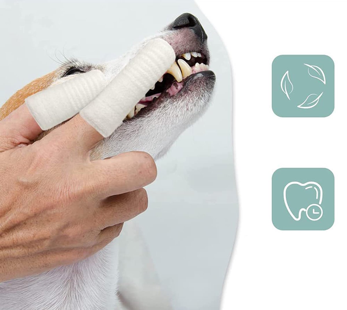 Dog Toothbrush - 10 Pieces - Reusable Finger Toothbrush - Animal Toothbrush - Dog Care - Dogs — image 3