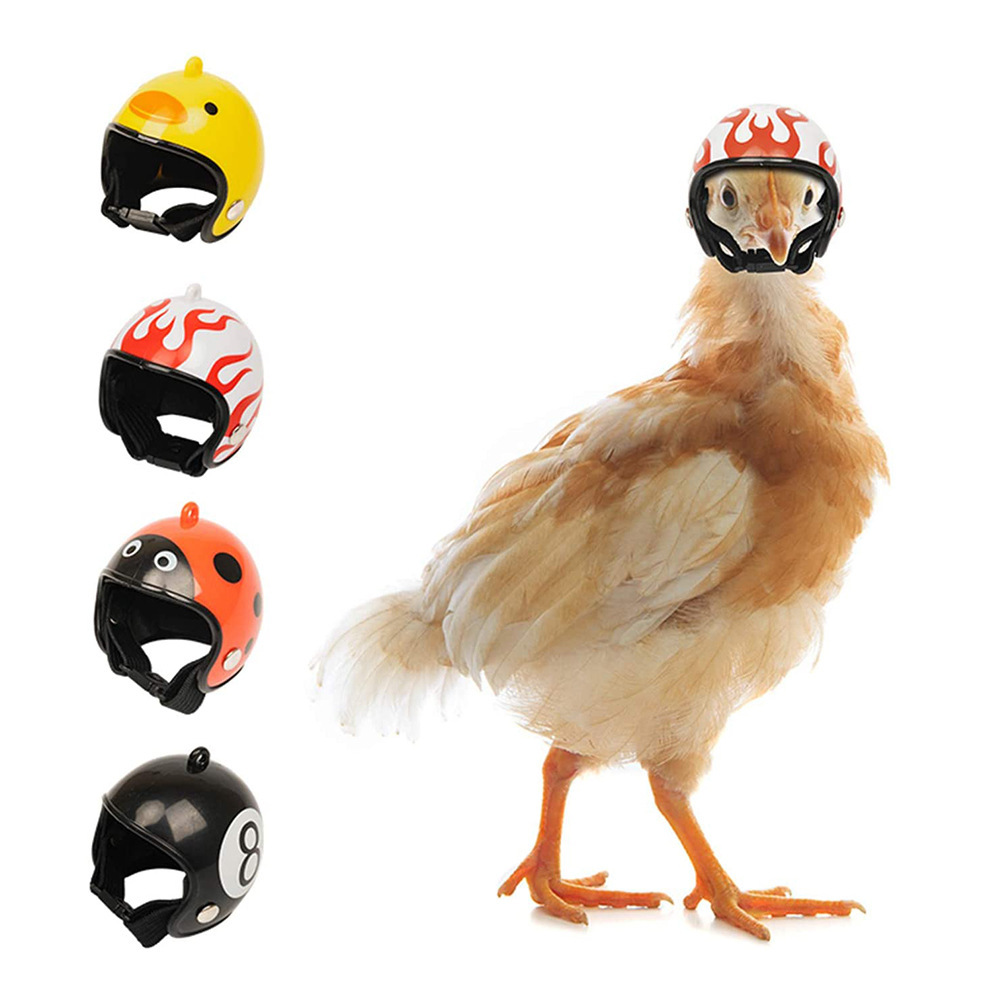 Pink Pet Chicken Helmet Set of 3 – Protective Headgear for Chicks, Hens, and Birds — image 3