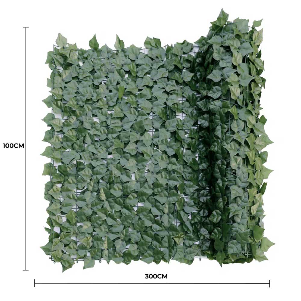 Double Sided Ivy Rolls 3m X 1m โ image 2