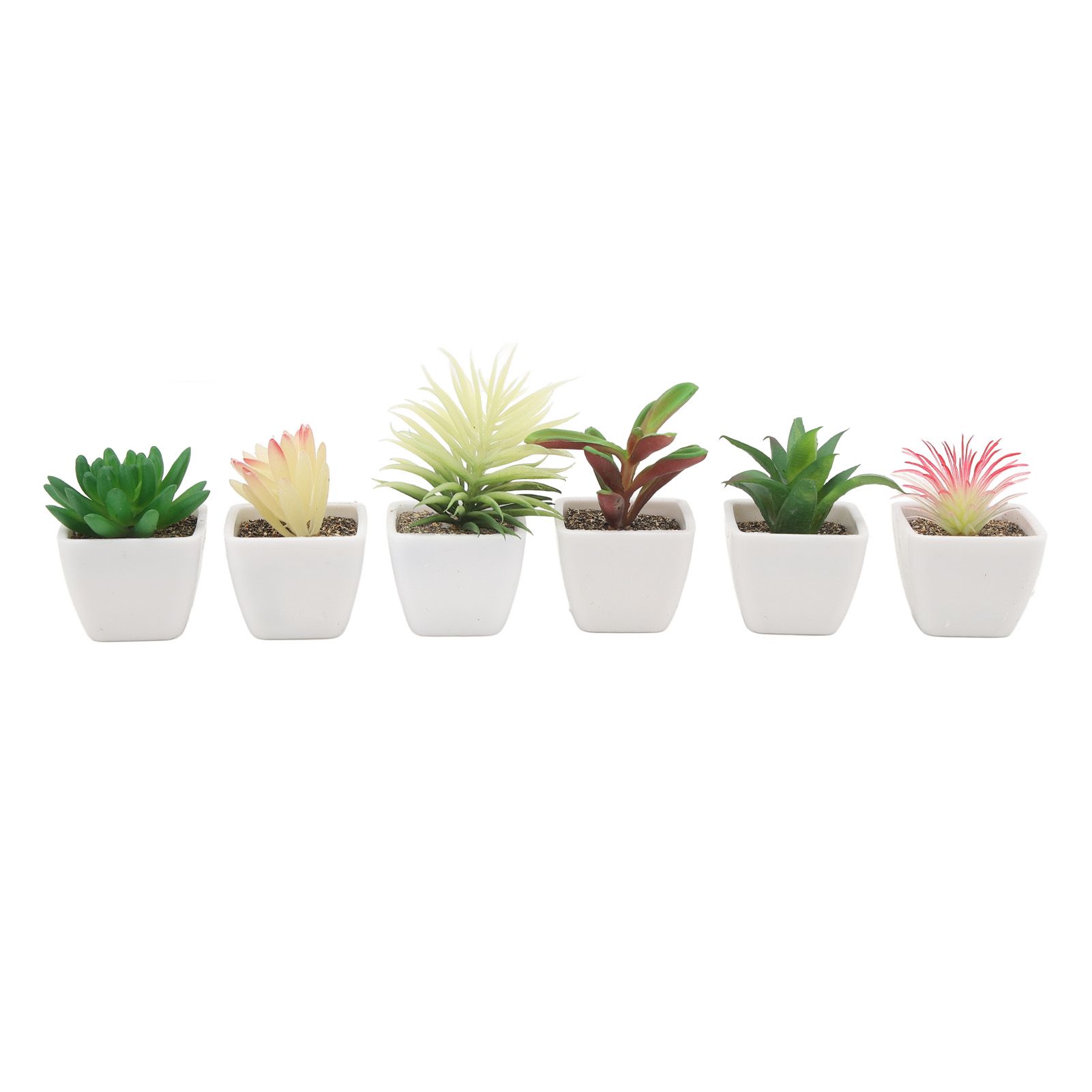 6PCS Potted Artificial Succulents Artificial Plants in Pots Plastic Fake Home Plant Decor for Living Room Office โ image 6