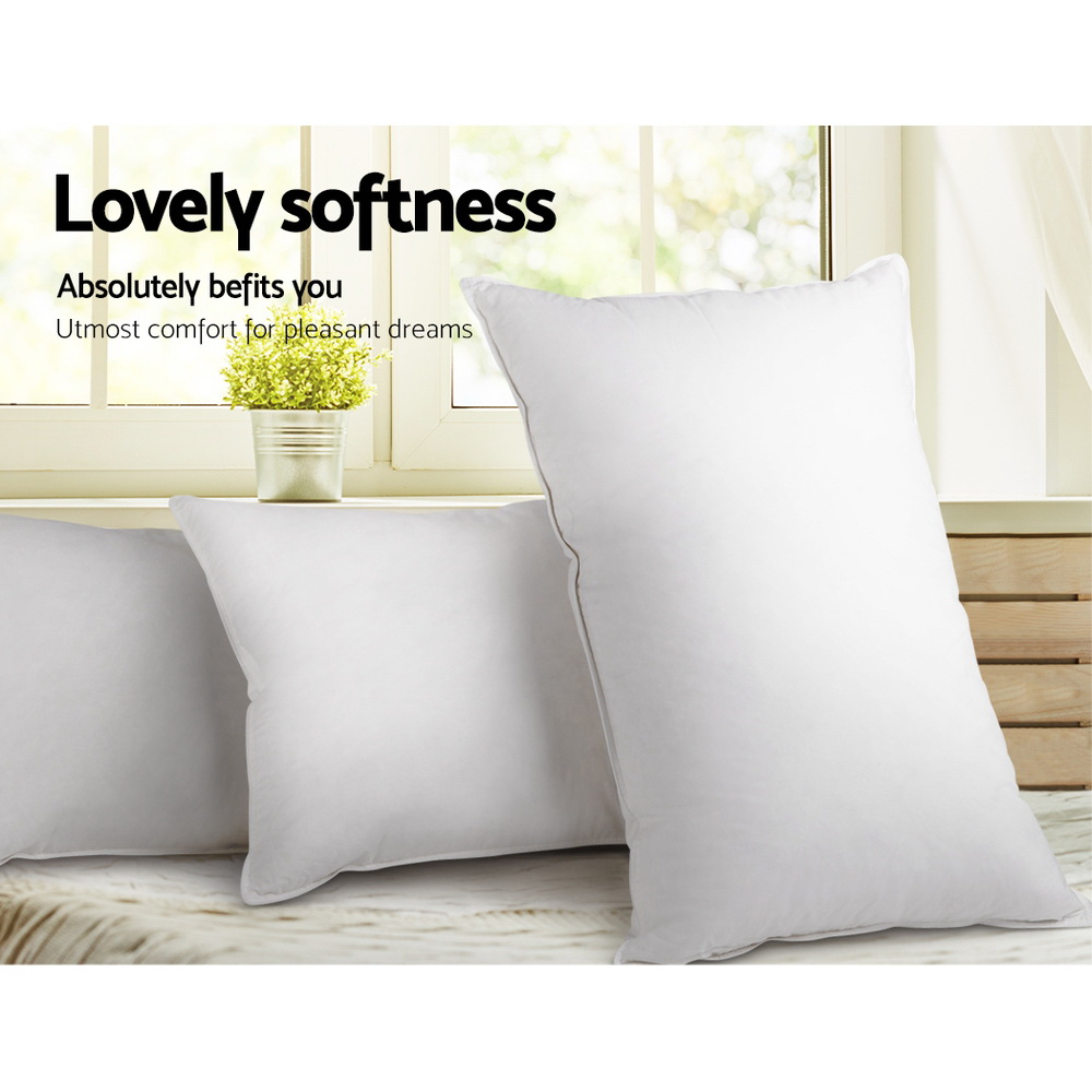Giselle Bedding Goose Feather Down Pillow Twin Pack โ image 4