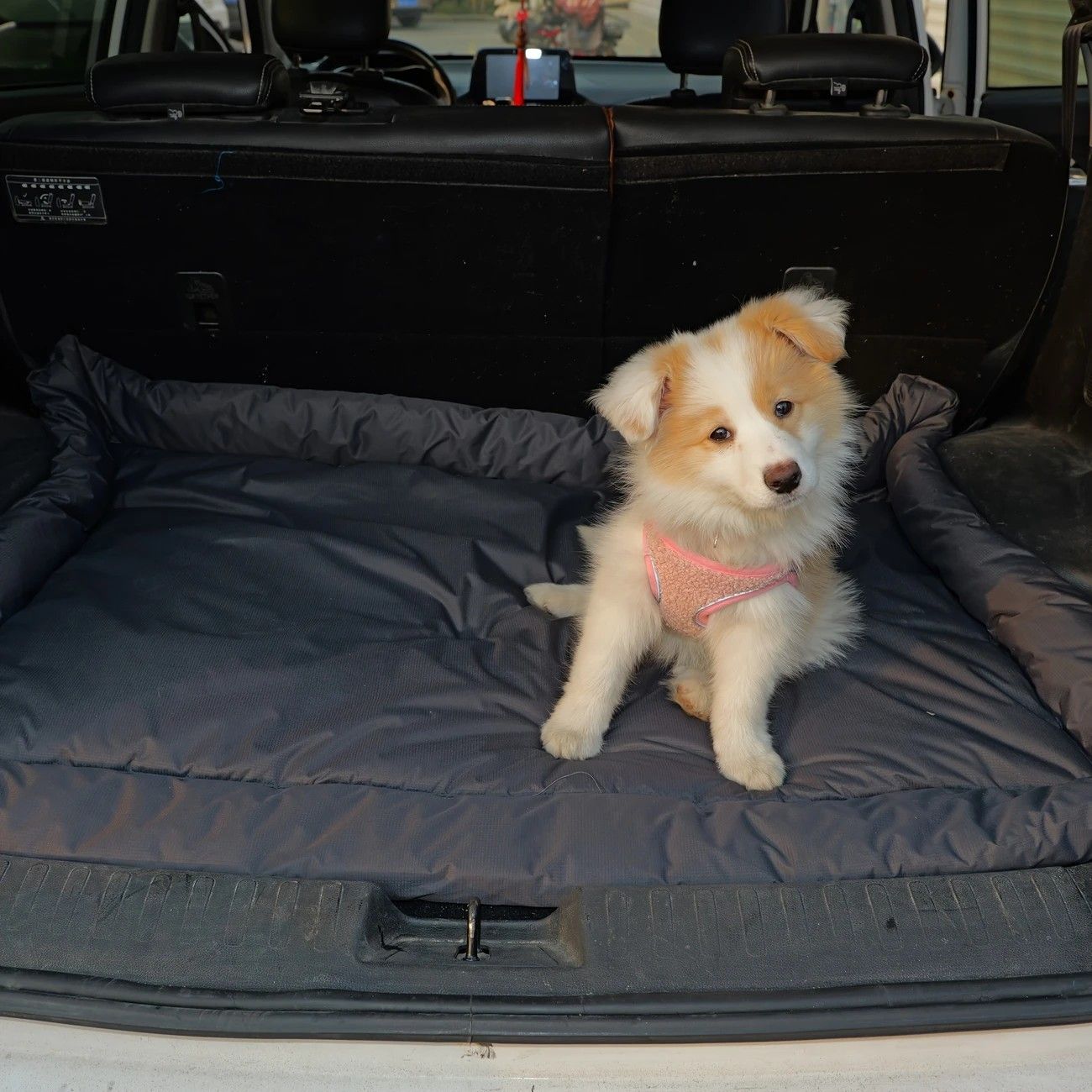 High-Quality Pet Portable Moisture-Proof Mattress, 120 × 80cm Large Size, Foldable for Storage, Wear-Resistant and Waterproof, All-Season Use, Suitable for — image 4