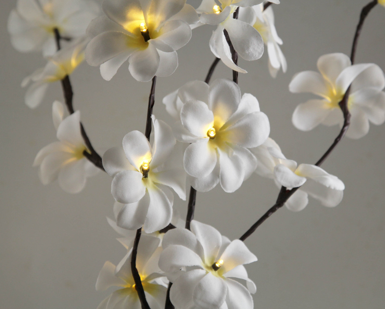 1 Set of 50cm H 20 LED White Frangipani Tree Branch Stem Fairy Light Wedding Event Party Function Table Vase Centrepiece Decoration โ image 2