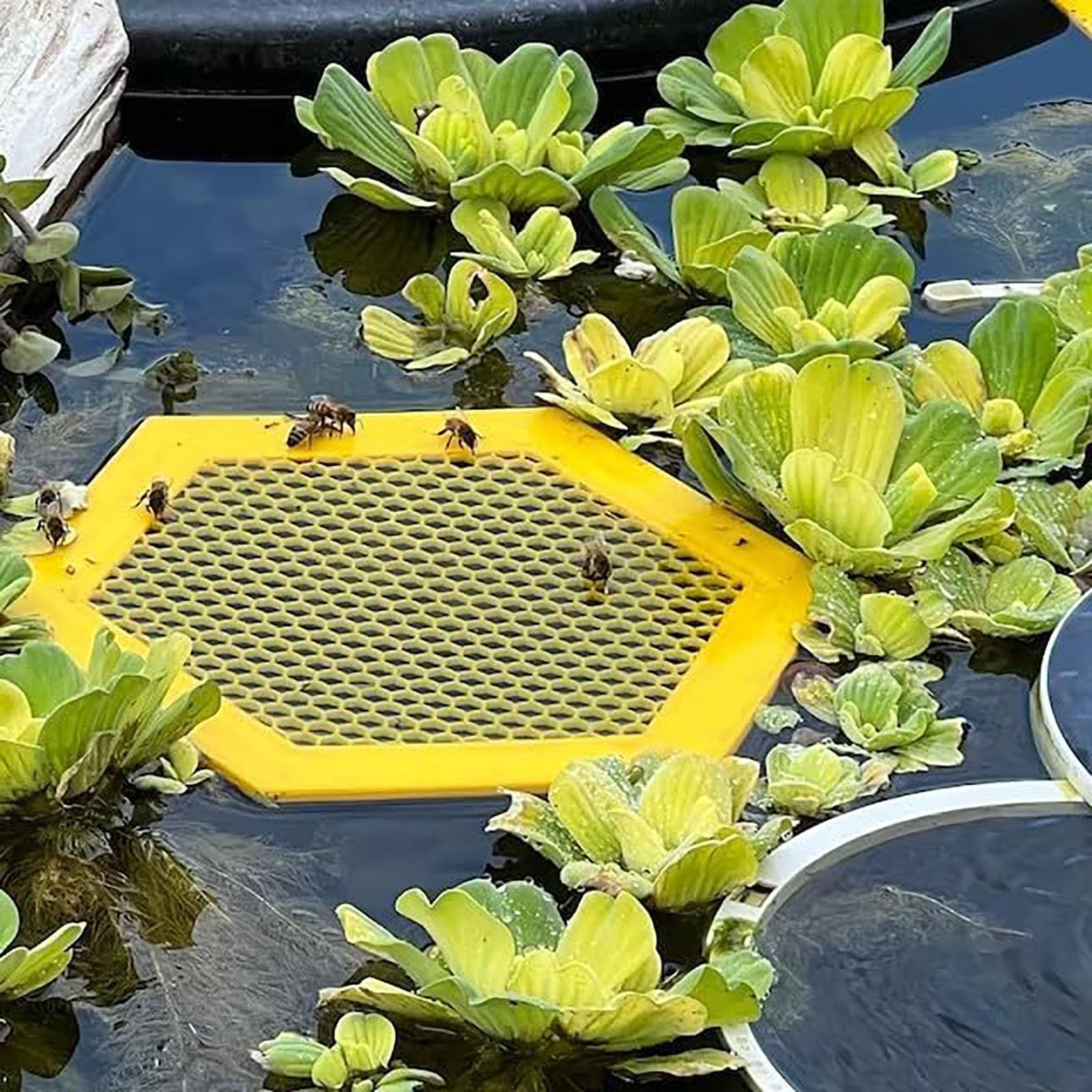 Floating Bee Island for Drinking 2pcs — image 3