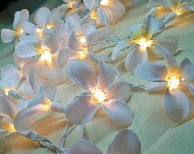 1 Set of 20 LED White Frangipani Flower Battery String Lights Christmas Gift Home Wedding Beach Party Decoration Outdoor Table Centrepiece โ image 2