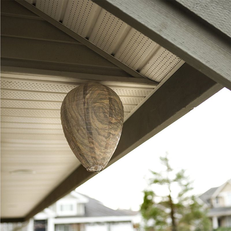 Paper Wasp Nest Decoys Hanging Wasp Deterrent Wasp Nest Decoy for Hornets Yellow Jackets 22 × 28CM — image 2