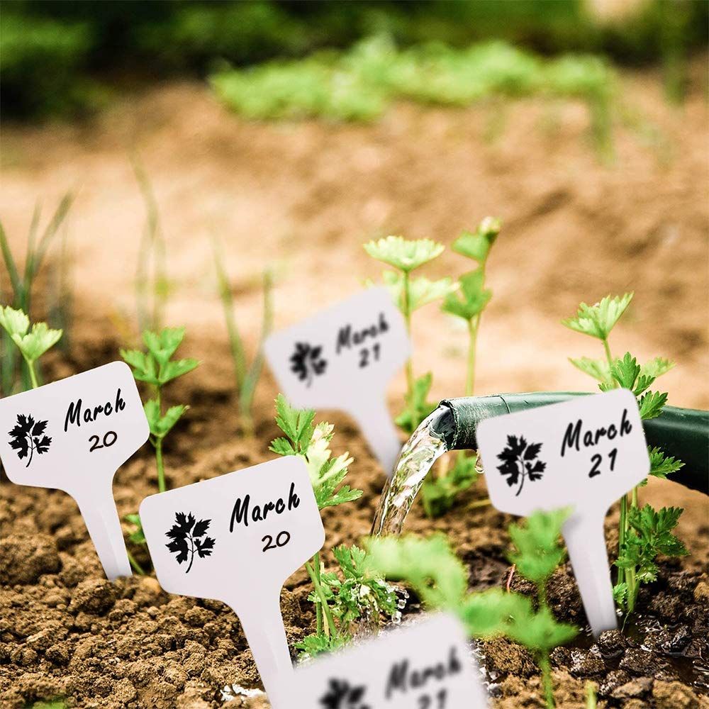 Plant Labels, Plant Remark Name Sign, 100pcs White Flower Plastic Signs Waterproof Potting Name Markers, Record Plant — image 4