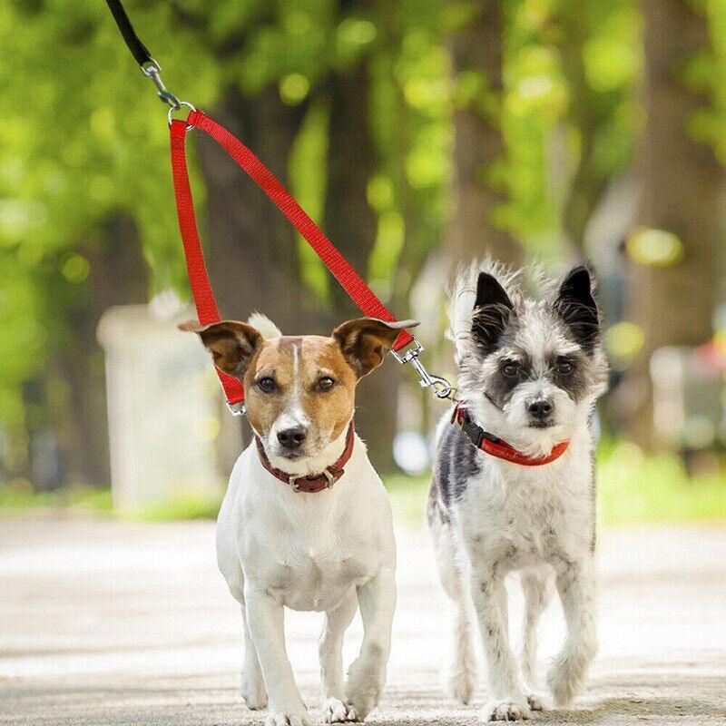 2 Way Double Dual Dog Leash Walk 2 Dogs With One Lead Coupler Nylon Harness - Blue โ image 4