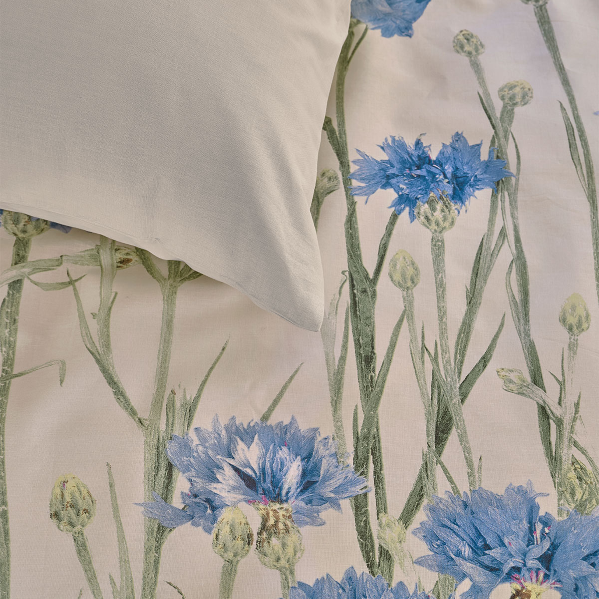 Bedding House Cornflower Sand 100% Cotton Percale Quilt Cover Set Queen — image 4