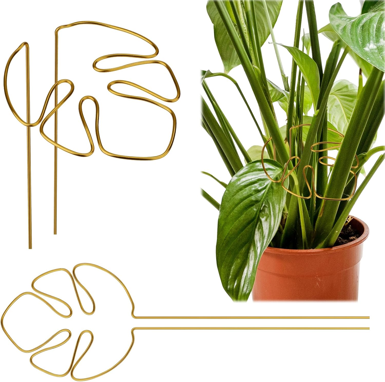 2 Pack Gold Plant Supports Indoor Outdoor Plant Stakes Clips Plant Stand for Plant Support