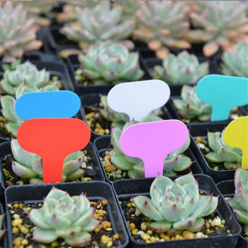 Tabs 600pcs Printable Labels Plastic Tags Green Plants Lables Plant Name Tags Plant Id Tags Plant Labels Flower Card Water Proof — image 3