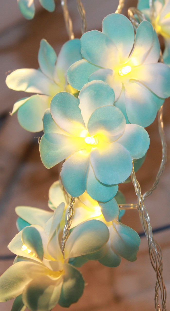 1 Set of 50 LED Tropical Blue Frangipani Flower Battery 5m LONG String Lights Christmas Gift Home Wedding Beach Party Decoration Outdoor Table Centrepiece — image 2