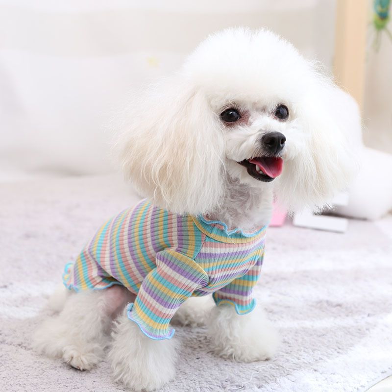 Cotton Knitted Pet Pullover Two Legs Clothes for Dogs Rainbow Strip — image 4