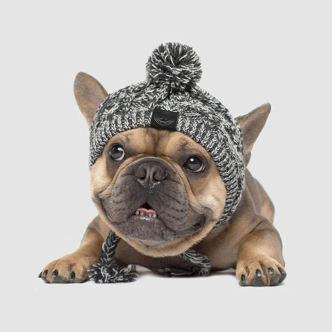 Dog Hat Knitted Windproof Winter Pom Hat, Black, L — image 5