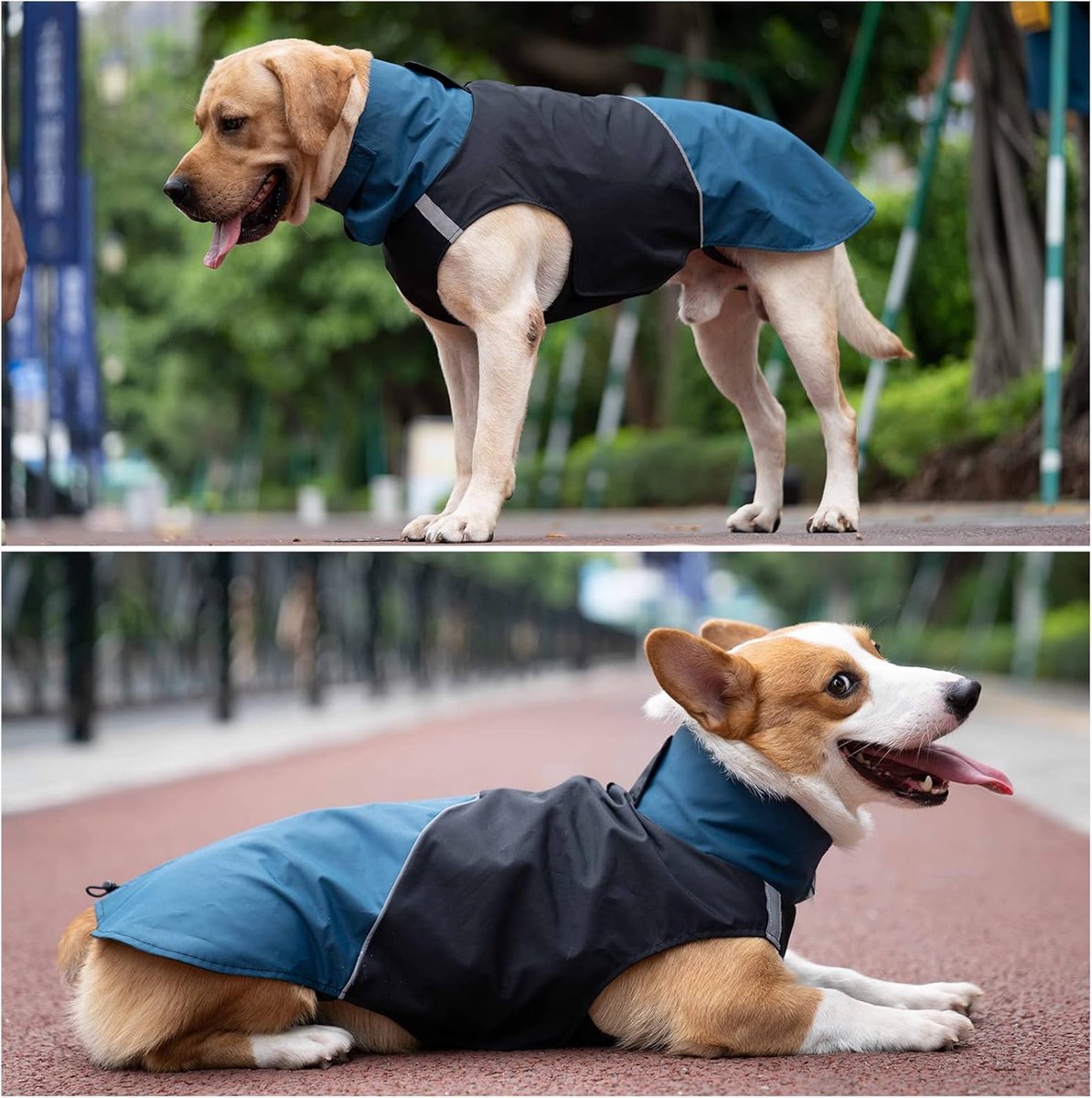 Dog Raincoat - Dog Jacket - Waterproof Winter Dog Jackets - Windproof Dog Jacket - Winter Dog Jacket - Reflective Strip - Perfect for Small Dogs - Medium-Sized โ image 3